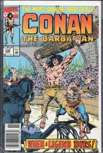 Conan the Barbarian #238 (1990) Conan
