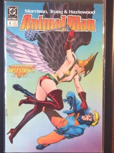 ANIMAL MAN #6, VF/NM, Grant Morrison, Powers, 1988, more in store, HawkGirl