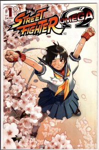 Street Fighter Omega #1 Secret Direct Market Variant