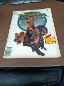 MARVEL SUPER SPECIAL 29 TARZAN OF THE APES 1983 ORIGIN ISSUE CHARLES REN COVER