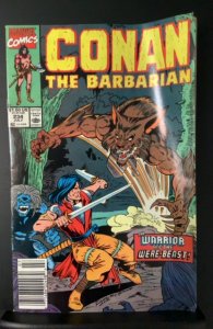 Conan the Barbarian #234 (1990)