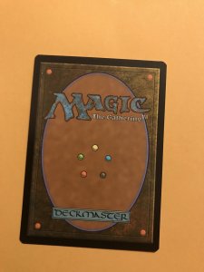 EVOLVING WILDS : Magic the Gathering MtG card / Adventures in Forgotten Realms