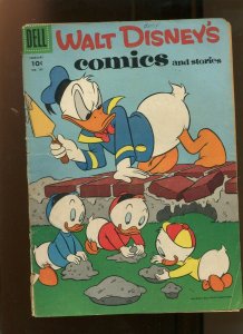WALT DISNEYS COMICS AND STORIES #5 (4.0) CEMENT COVER 1956