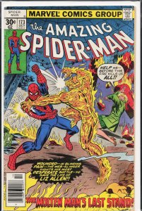 The Amazing Spider-Man #173 (1977) Spider-Man