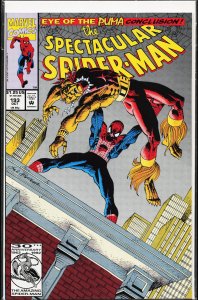 The Spectacular Spider-Man #193 (1992) Spider-Man