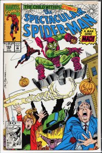 The Spectacular Spider-Man #184 (1992) Spider-Man