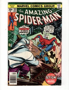 The Amazing Spider-Man #163 (1976)   / ID#533
