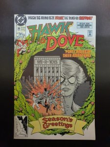 Hawk and Dove #20 (1991)