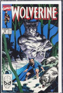 Wolverine #25 (1990) Wolverine