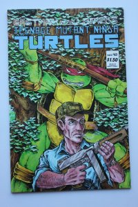 Teenage Mutant Ninja Turtles #12 (1987) NM