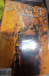 ANGEL: After the Fall #2  Tony Harris