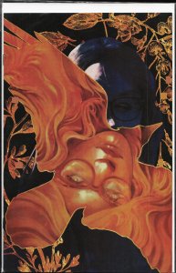 An Unkindness of Ravens #2 Cover B (2020)