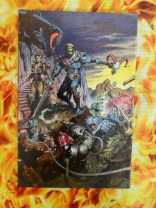 Masters of the Universe #1 Norem Cover (2002) - MT