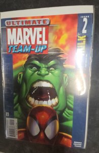 Ultimate Marvel Team-Up #2 (2001)