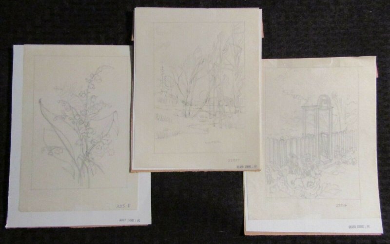 PENCIL ART LOT of 3 Woods Garden & Flowers 6.5x8 Greeting Card Art #516 517 518