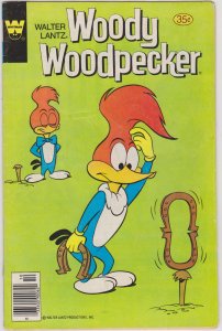 Woody Woodpecker #171