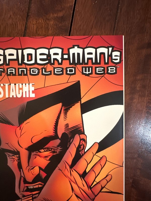 Spider-Man's Tangled Web #20 (2003)