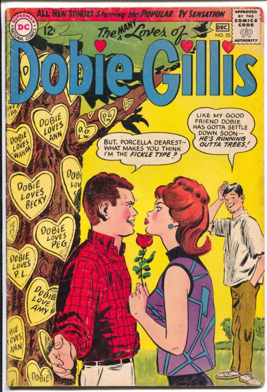 Many Loves of Dobie Gillis #22 1963-DC-Dwayne Hickman TV series-Osborne-VG+