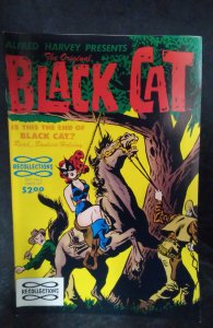 The Original Black Cat #5 (1991)