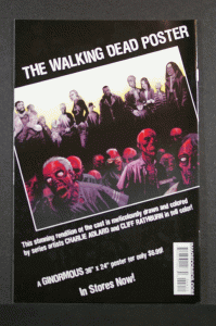 The Walking Dead #44