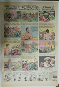 Tarzan Sunday Page #380 Burne Hogarth from 6/19/1938 Very Rare! Full Page Size