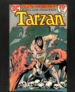 Tarzan (1972) #224