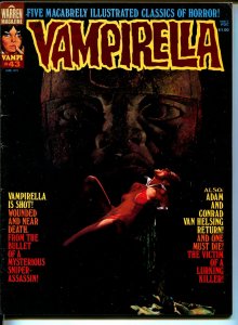 Vampirella #43 1975-Warren-Vampi cover-terror & mystery stories-FN/VF