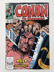Conan The Barbarian 222