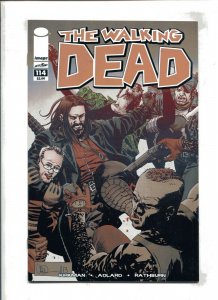 WALKING DEAD #114 (9.0) 2013