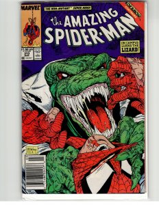 The Amazing Spider-Man #313 (1989) Spider-Man