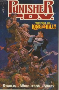 PUNISHER P. O. V. #3, NM, Jim Starlin, Bernie Wrightson, Bill Wray, 1991