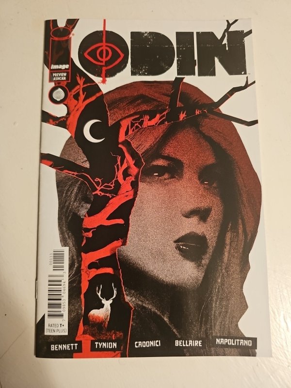 If Destruction Be Our Lot / Odin Ashcan Preview Promotional