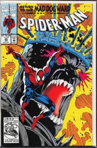 Spider-Man #30 (1993) Spider-Man