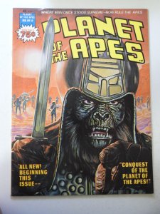Planet of the Apes #17 (1976) VG/FN Condition