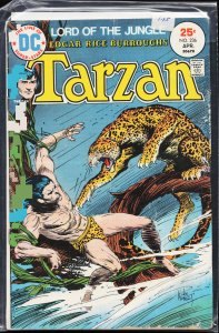 Edgar Rice Burroughs' Tarzan #236 (1975)