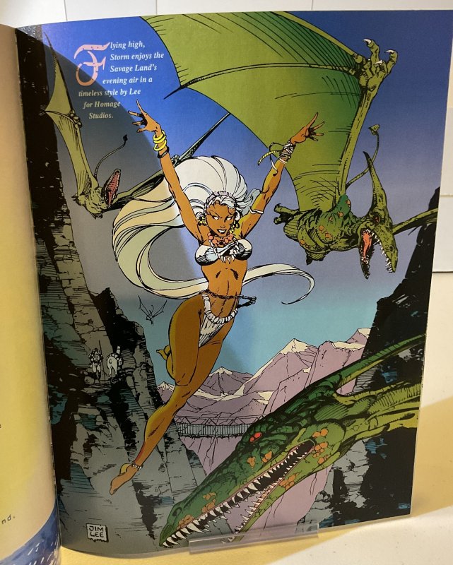 Marvel Illustrated: Swimsuit Issue #1  1991  VF  Premier Issue! Magazine