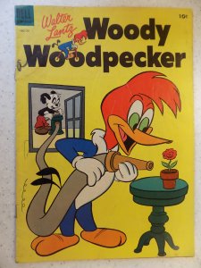 Walter Lantz Woody Woodpecker #20 (1953) 