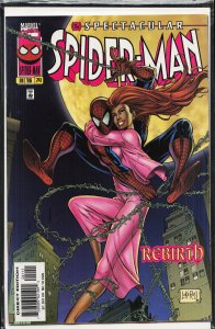 The Spectacular Spider-Man #241 (1996) Spider-Man