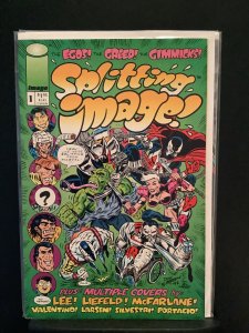 Splitting Image #1 (1993)