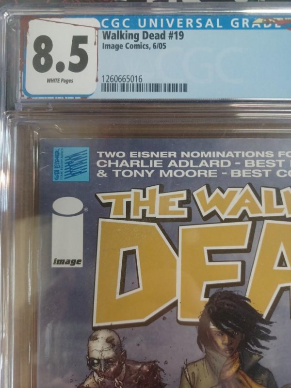 Walking Dead #19, CGC 8.5, 1st Michonne, Custom Label, Image Comics, 2005