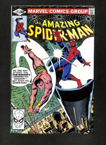 Amazing Spider-Man #211 Sub-Mariner!