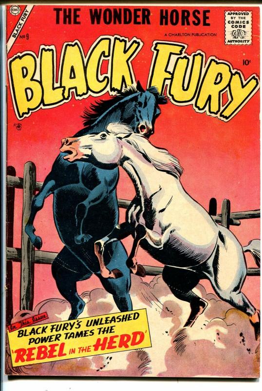 Black Fury #9 1957-Charlton-horse fight cover-Daniel Boone-G