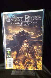Ghost Rider: Trail of Tears #3 (2007) Ghost Rider 