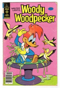 Woody Woodpecker #183 ORIGINAL Vintage 1979 Whitman Comics