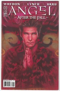 Hundred Penny Press: Angel After the Fall (2011)