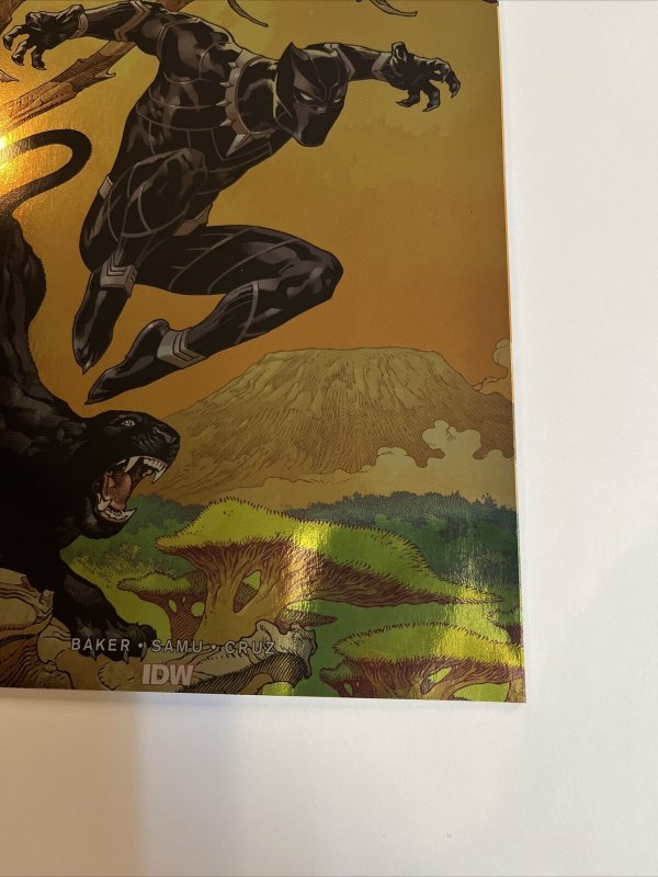 Marvel Action Black Panther (2019) # 1 (NM) 1:100 RI-D Variant