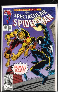 The Spectacular Spider-Man #191 (1992) Spider-Man