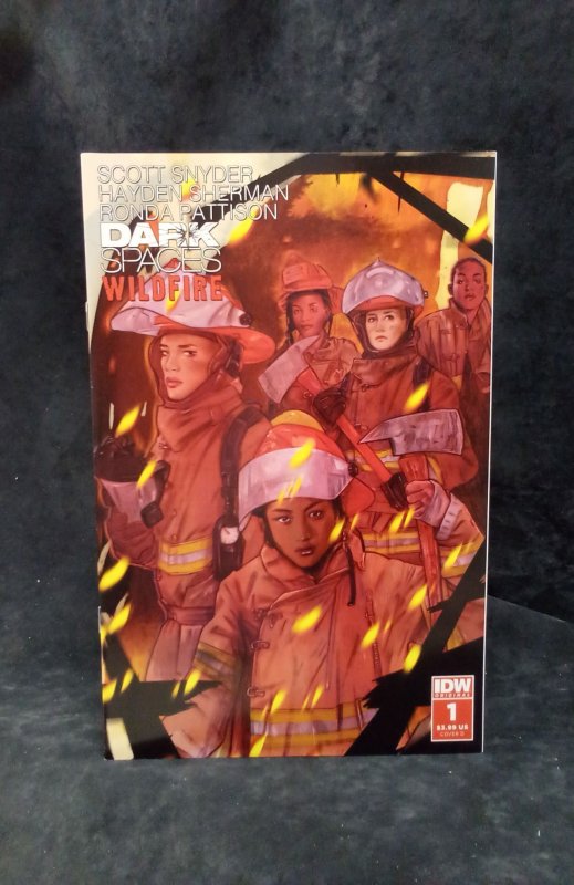 Dark Spaces: Wildfire #1 Cover D (2022)