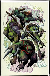 Teenage Mutant Ninja Turtles #1 Cover GGG (2024) Teenage Mutant Ninja Turtles