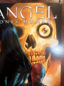 Angel: Only Human #1 (2009)